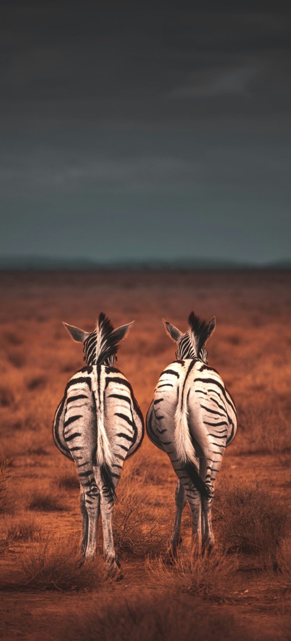 geranimo-ADUiP4nJwds-unsplash-1200x1857